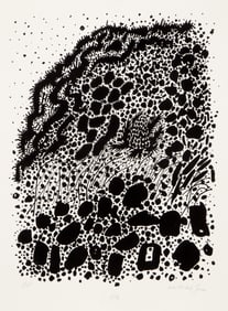 Bob Cato, Marsh Land from Nantucket Series, Screenprint on Somerset