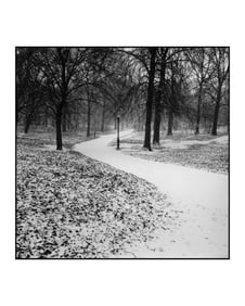 Robert Gambee, Winter Trail, Digital Photograph