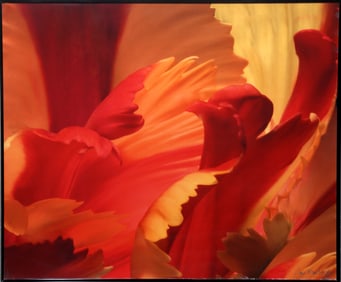 Jonathan Singer, Red and Orange Petal Study, Digital Inkjet Print on Metallic Paper