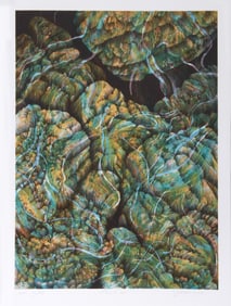 Joan Melnick, Coral 27, Lithograph