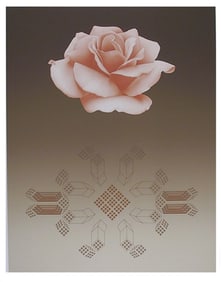 David Haidle, Rose Matrix VIII, Screenprint