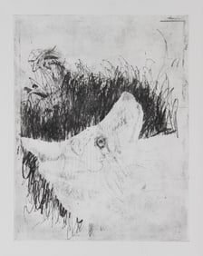 Donald Saff, Coyote, Etching