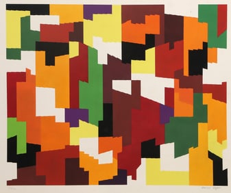 Yaacov Agam, Urban Camo, Screenprint on Arches