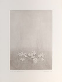 Gunnar Norrman, Ornithogalum, Drypoint Etching