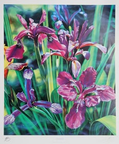 Brett-Livingstone Strong, Irises, Offset Lithograph