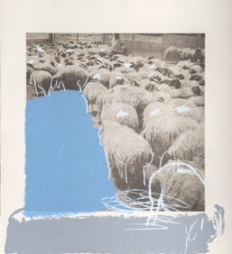 Menashe Kadishman, Sheep, Etching and Screenprint