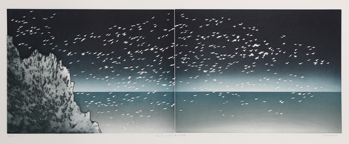 Jean Solombre, Tous Les Oiseaux Du Monde, Etching with Aquatint on Arches