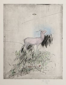 Donald Saff, Alpine Goat, Etching with Hand coloring