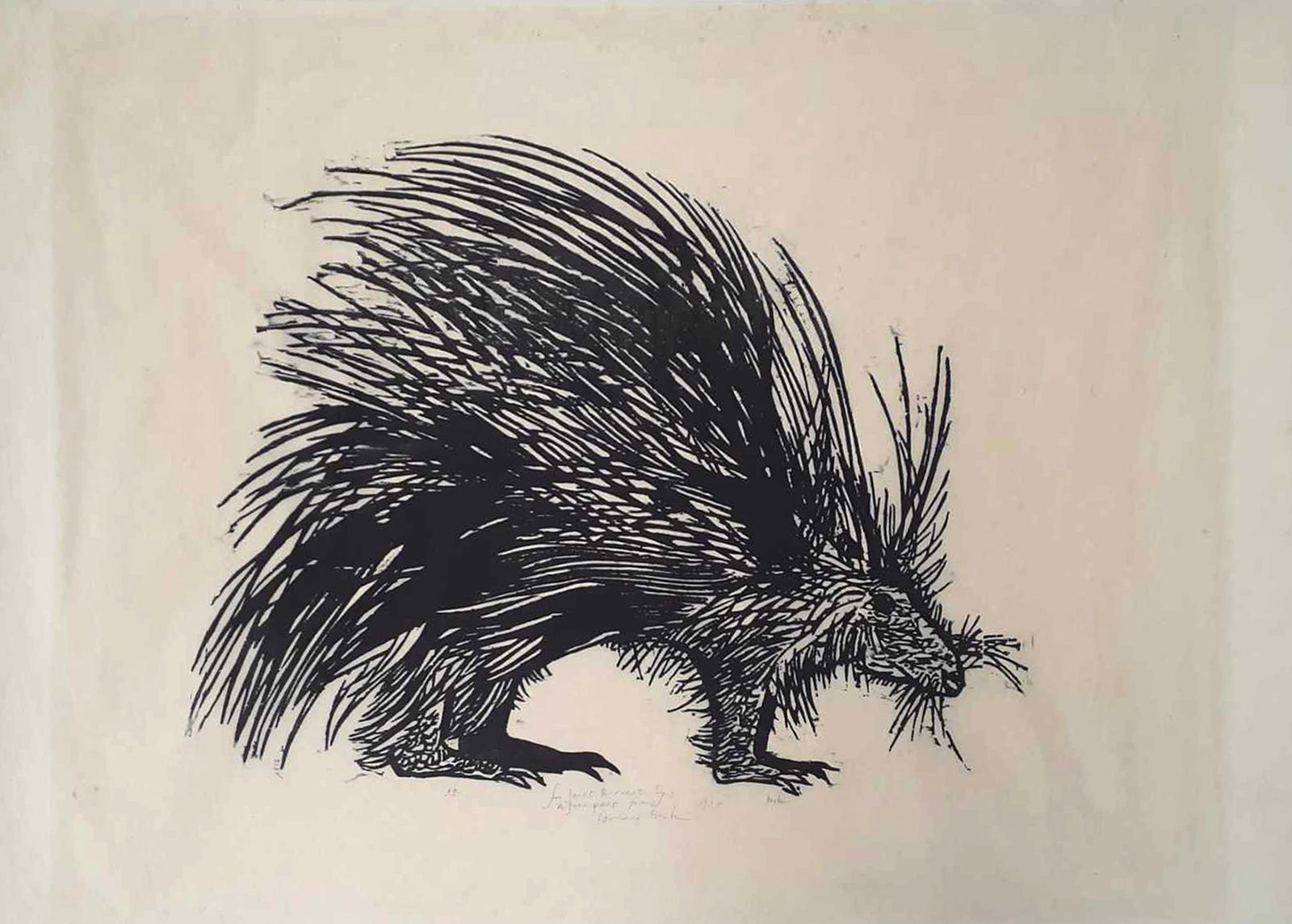 Leonard Baskin, Porcupine, Wood Engraving: Artist: Leonard Baskin, American (1922 - 2000) Title: Porcupine Year: 1994 Medium: Wood Engraving, signed and dedicated Size: 27 x 35 in. (68.58 x 88.9 cm) Publisher: Gehenna Press Description: A larg