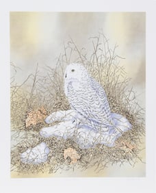 Chris Forrest, Snow Owl, Lithograph