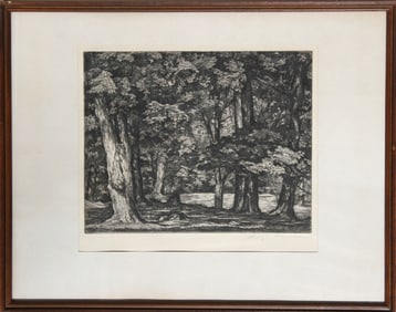 Luigi Lucioni, Tree Tapestry, Etching