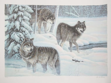 Pat McManus, Snow Quest, Screenprint