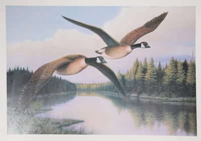 Pat McManus, Snow Geese, Screenprint