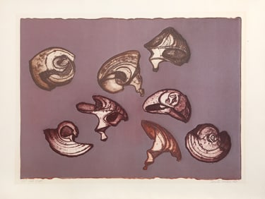 Benita Sanders, Shell Shapes, Etching
