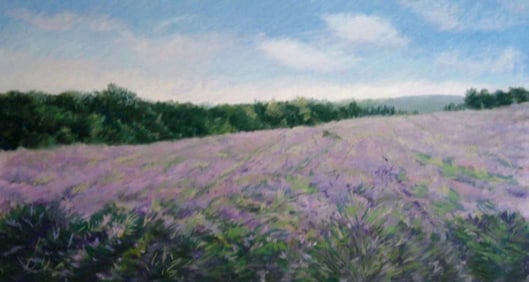 Eileen Serwer, Lavender in the Vaucluse, Pastel on Paper