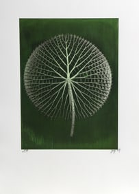 Jonathan Singer, Giant Green Amazon Waterlily on Dark Green, Digital Photograph