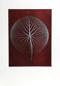 Jonathan Singer, Giant Silver Amazon Waterlily on Burgundy, Digital Photograph