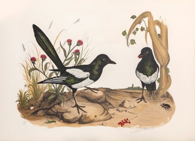 Jerome Trolliet, Two Birds, Lithograph