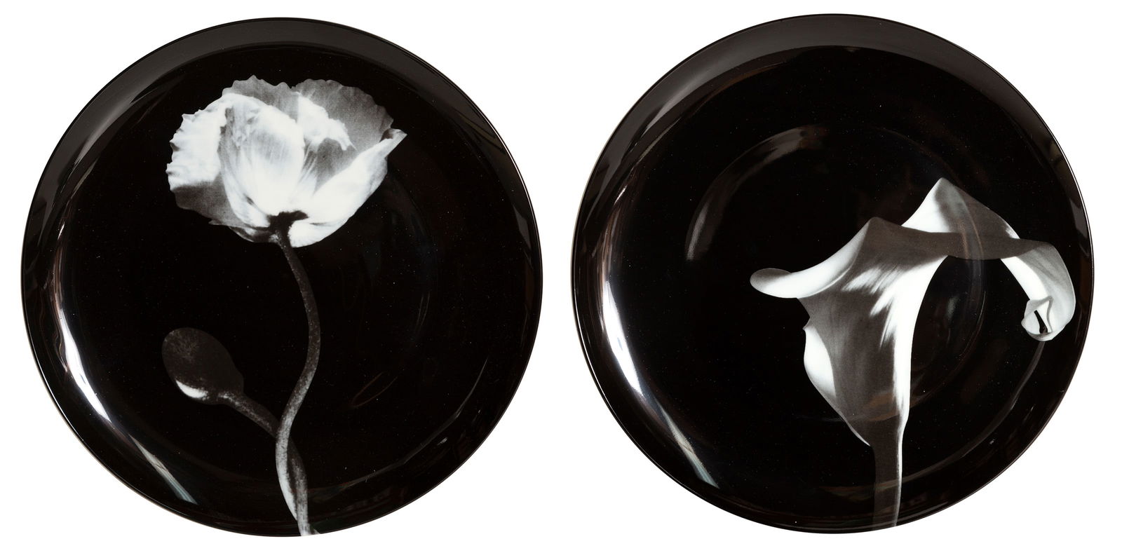 Robert Mapplethorpe, Poppy and Calla Lily Plate, Pair of Porcelain Plates (1 of 6)