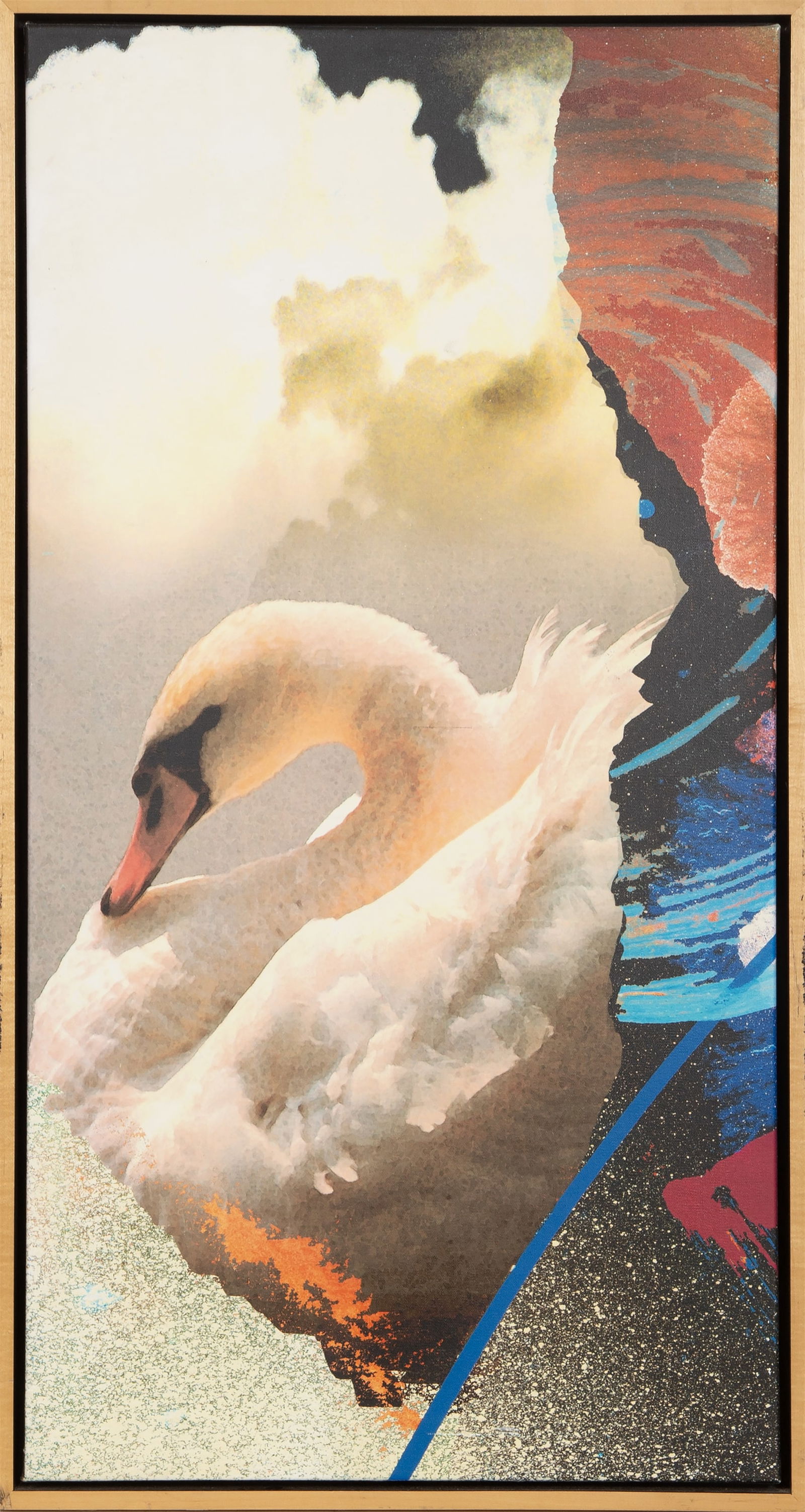 Michael Knigin, Swan in Space, Chromgenic Print (1 of 4)