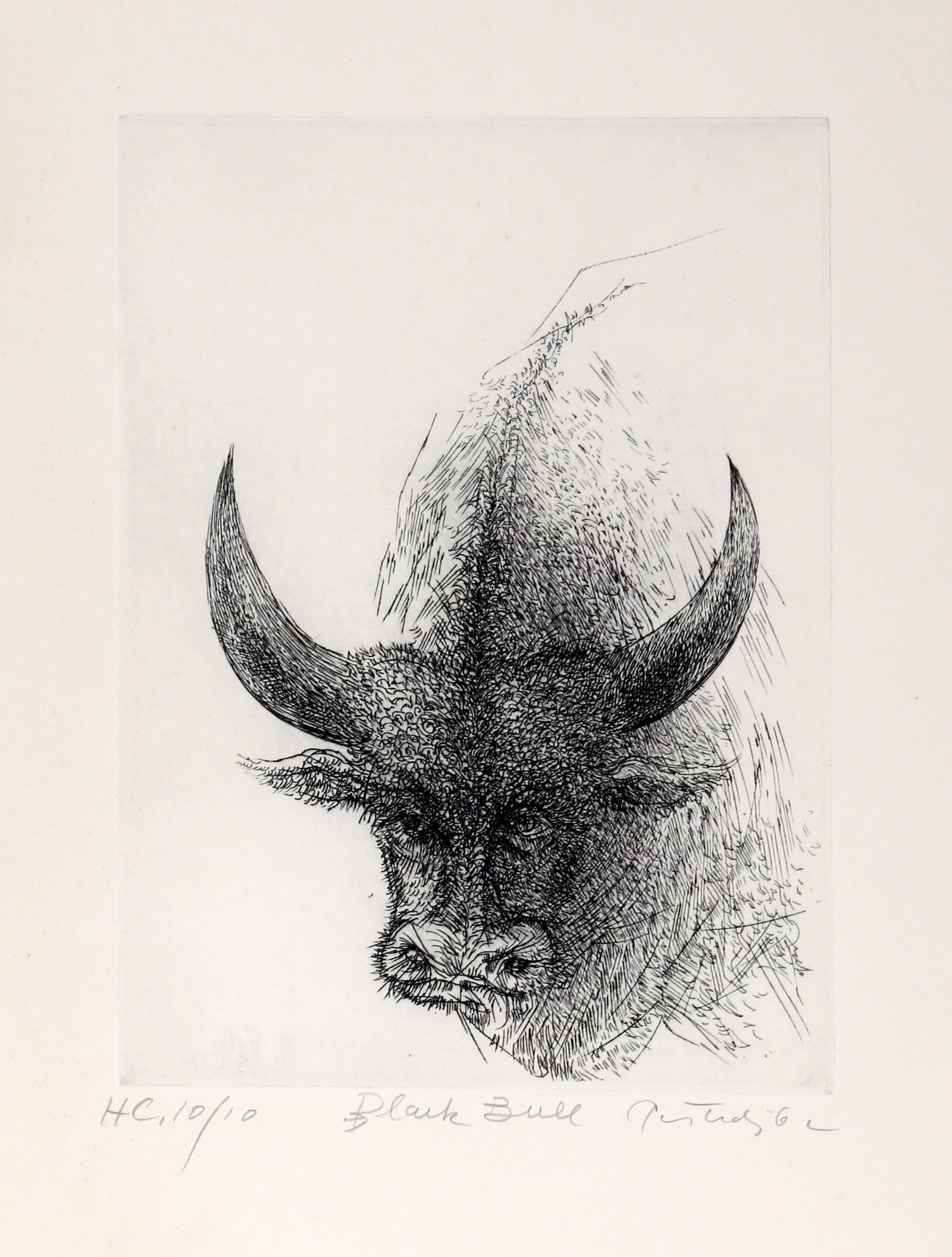 Gabor Peterdi, Black Bull, Etching (1 of 1)