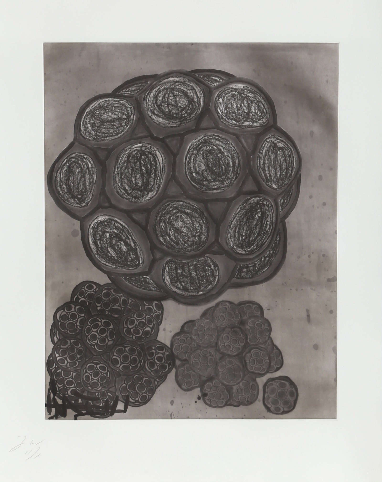 Terry Winters, Album 6, Etching: Artist: Terry Winters, American (1949 - ) Title: Album 6 Year: 1988 Medium: Etching with Aquatint on Hahnemuele Paper, signed and numbered in pencil Edition: HC 2/2 Image Size: 20 x 16 inches Size: 26