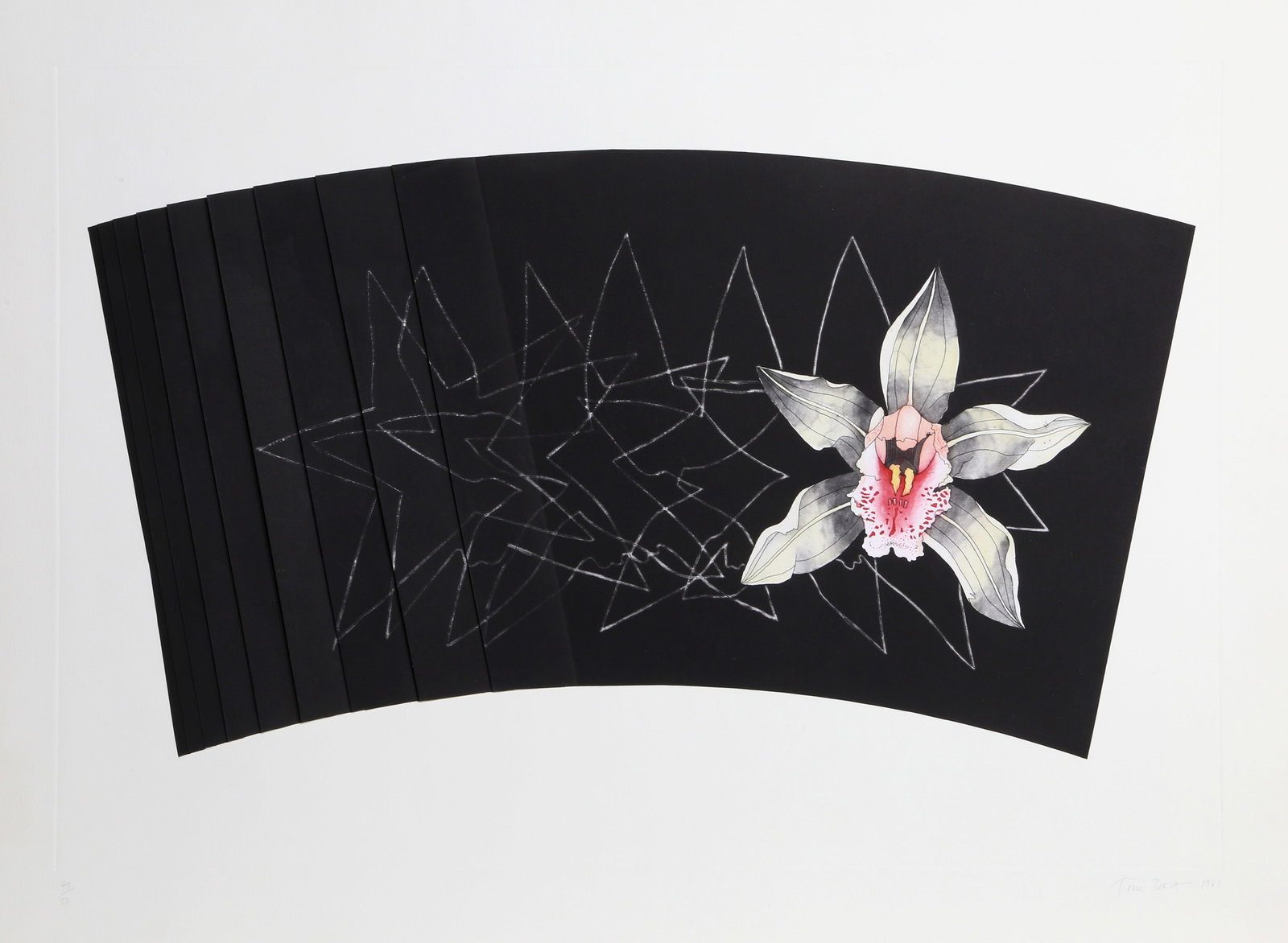 Toni Dove, Traces, Etching: Artist: Toni Dove, American (1946 - ) Title: Traces Year: 1981 Medium: Aquatint Etching and Chine colle, Signed and numbered in Pencil Edition: 50 Size: 31 in. x 42 in. (78.74 cm x 106.68 cm) Printer: