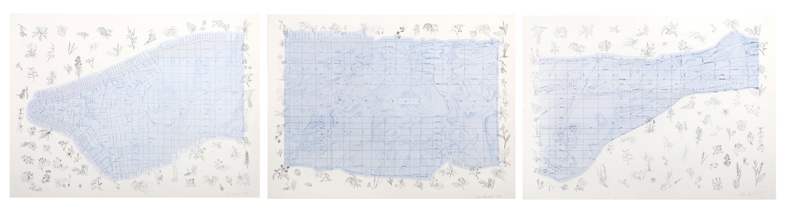 Alan Sonfist, Manhattan Triptych, Lithographs: Artist: Alan Sonfist, American (1946 - ) Title: Manhattan Triptych Year: 1980 Medium: Suite of Three Lithographs, each signed and numbered in pencil Edition: AP Image Size: each 20 x 27 inches Size: 2