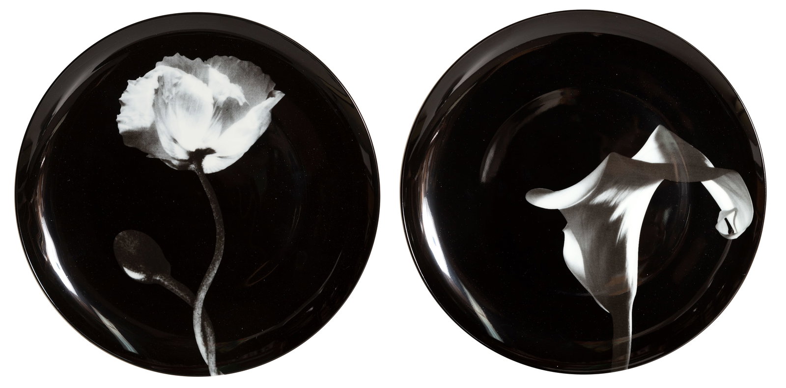 Robert Mapplethorpe, Poppy and Calla Lily Plate, Porcelain Plates (1 of 6)