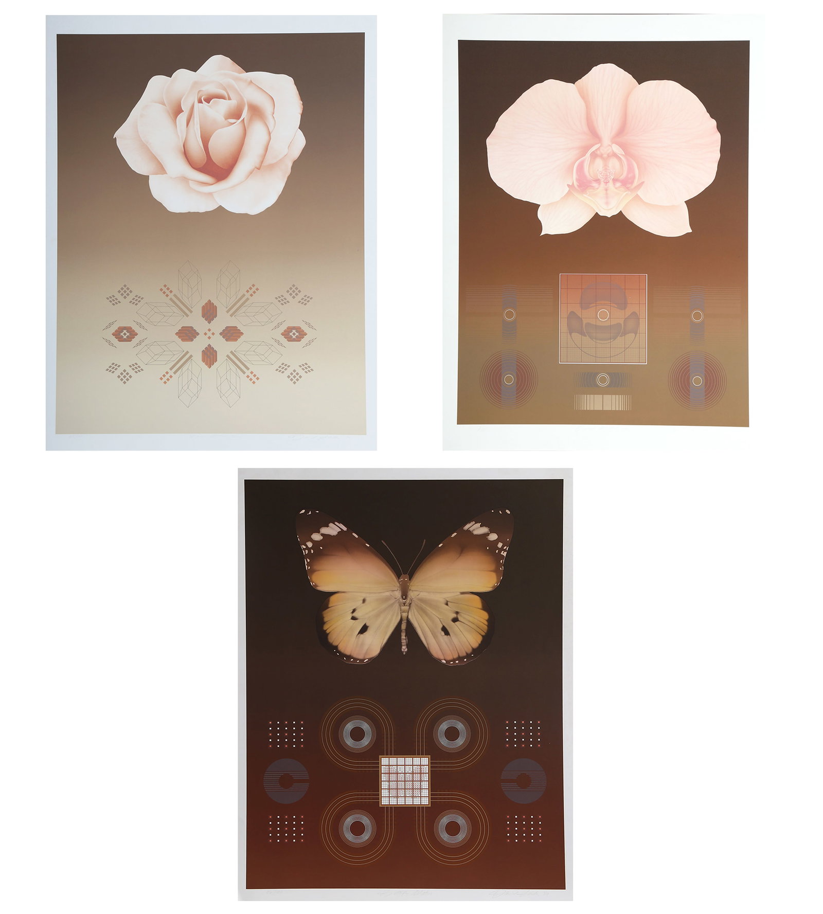 David Haidle, Lot of 3 Floral Screenprints (1 of 7)