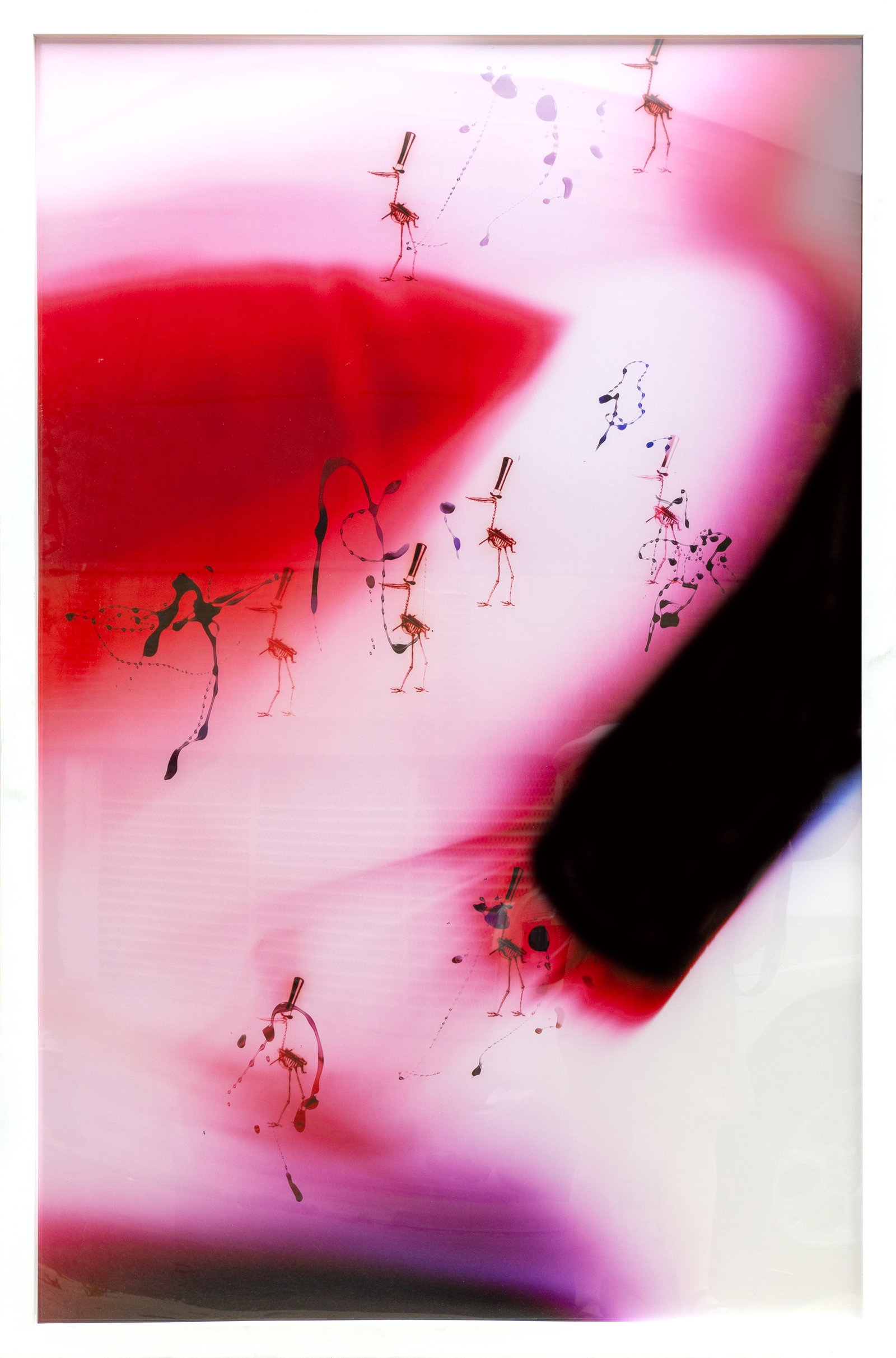Carter Mull, Stars, Chromogenic Print (1 of 1)