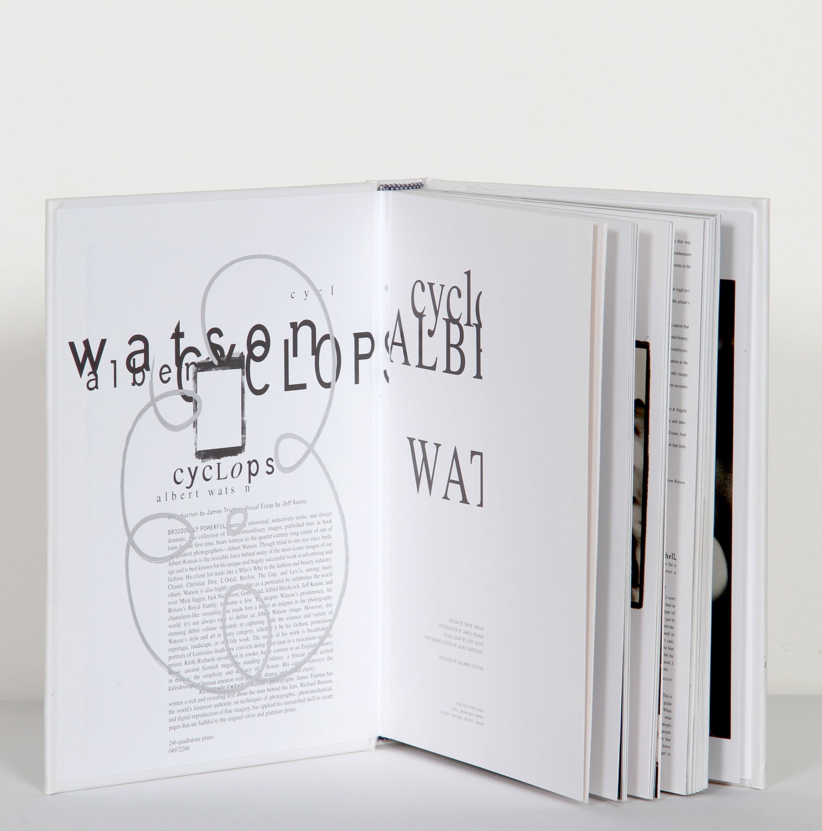 Jeff Koons, Albert Wats, Drawing (1 of 3)