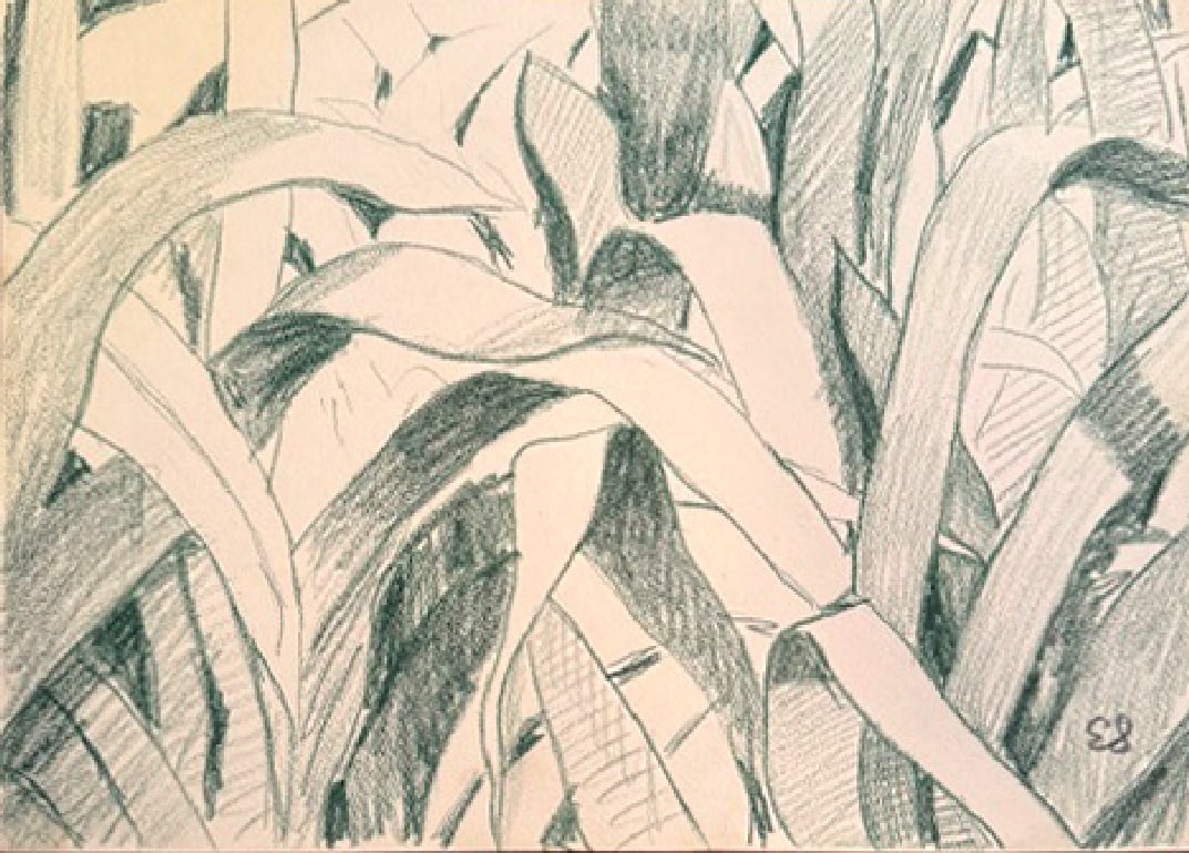 Emilio Sanchez, Green Grass, Crayon (1 of 4)