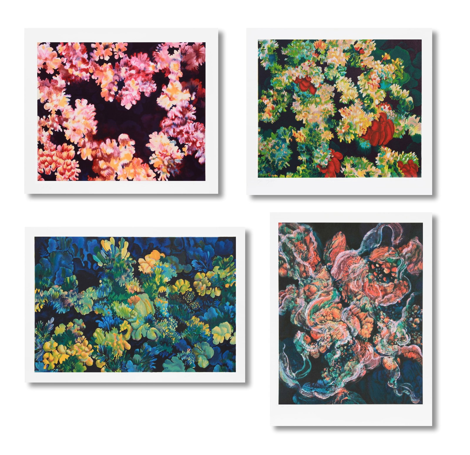 Joan Melnick, Lot of Four Coral Lithographs: Artist: Joan Melnick, American (1942 - ) Title: Coral 2, 3, 7 and 19 Year: 1980 Medium: Lithograph, signed and numbered in pencil Edition: 300, AP 35 Size: 21 in. x 29 in. (53.34 cm x 73.66 cm) Descri