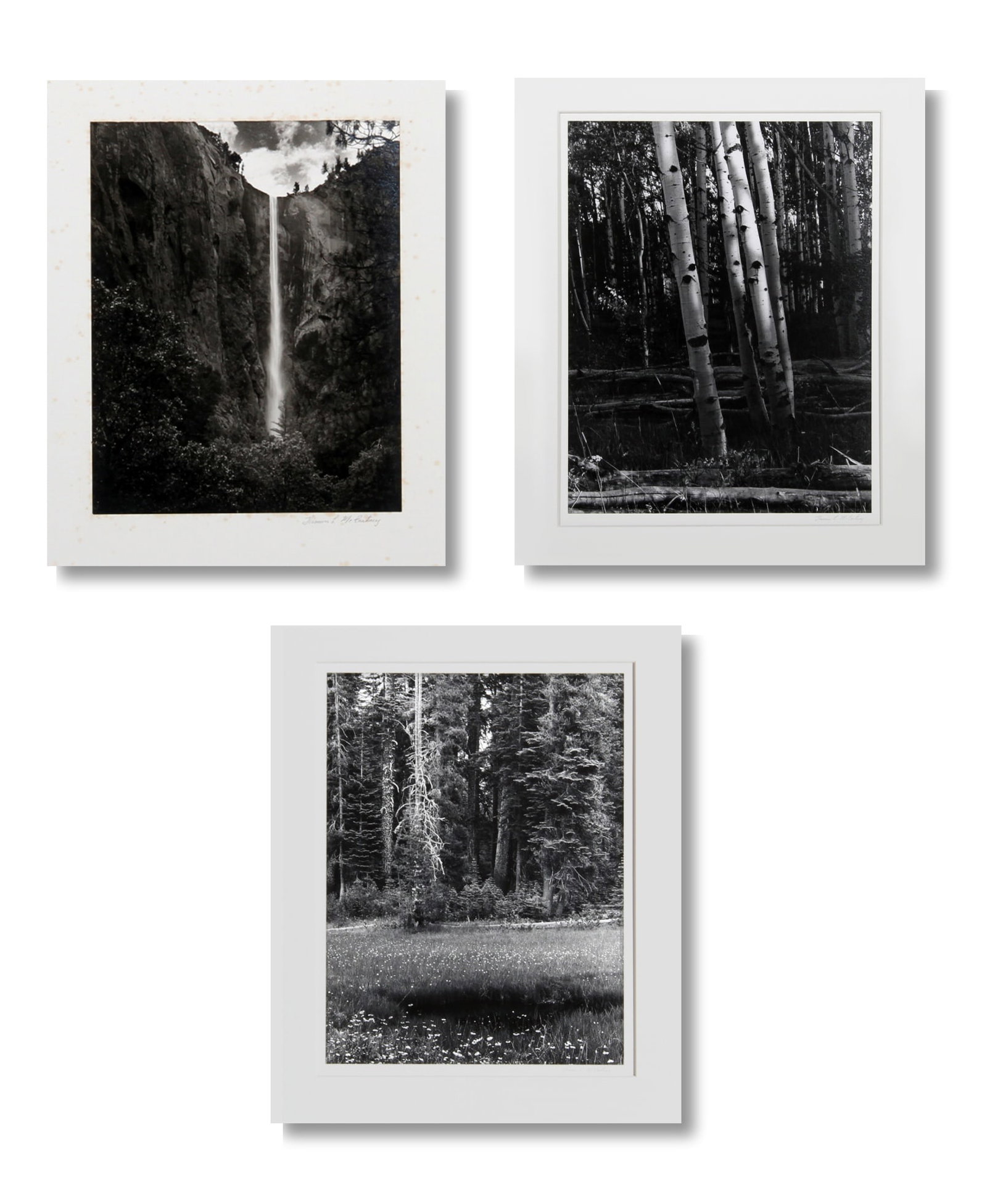 Thomas McCartney, Lot of Three Landscape Photographs (1 of 9)