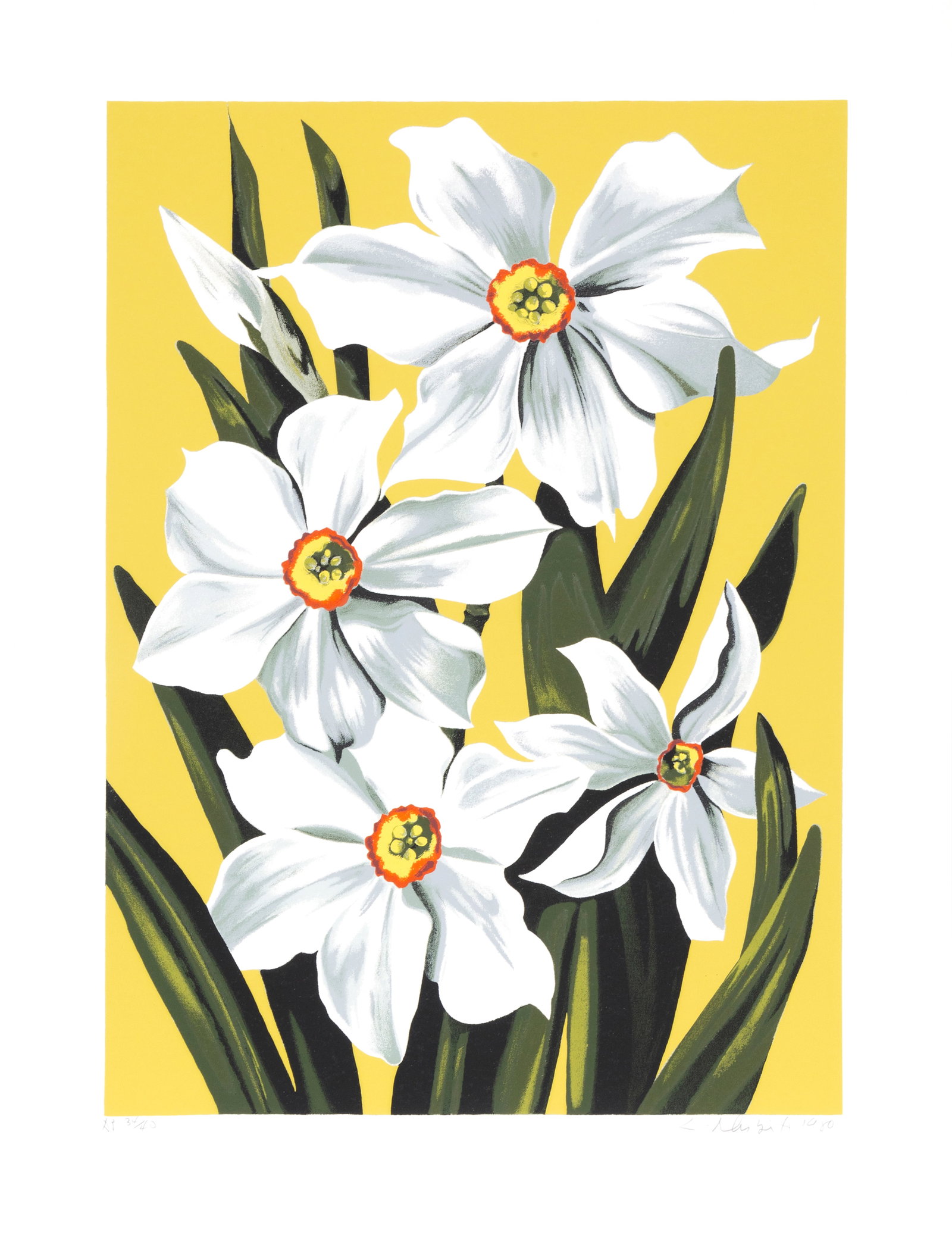 Lowell Blair Nesbitt, Daffodils, Screenprint (1 of 4)