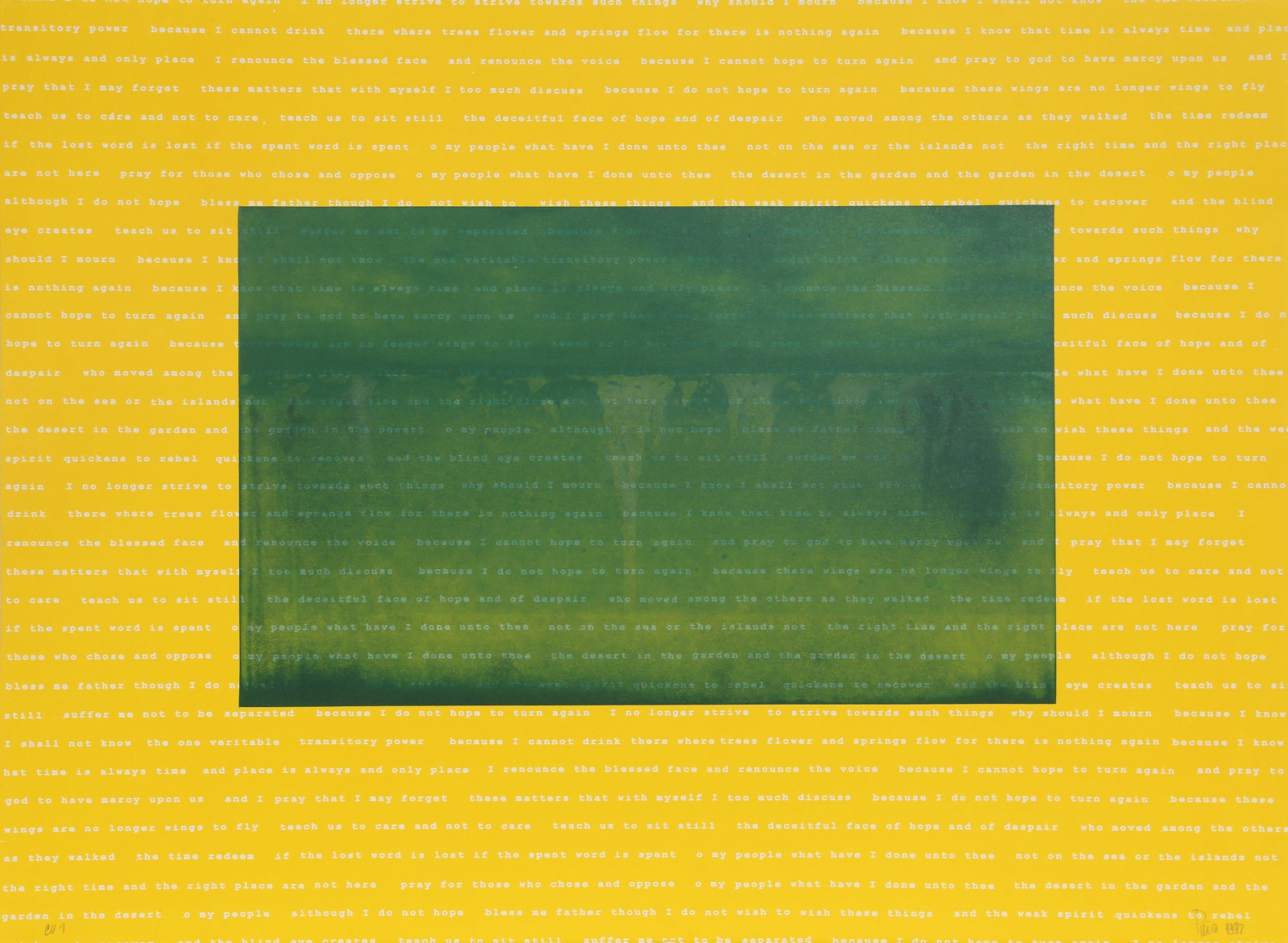 Manuel Pina-Baldoquin, Aguas Baldias (Yellow), Etching with Letterpress (1 of 4)