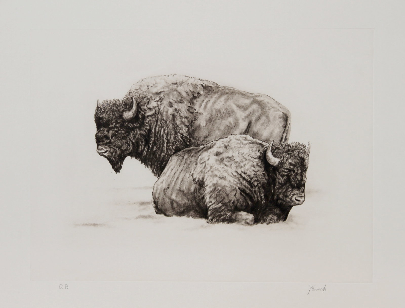 Joseph Vance, American Buffalo, Etching (1 of 2)