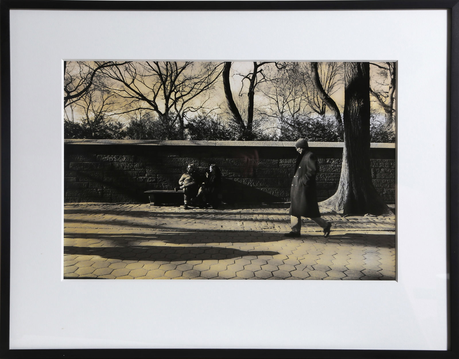 Tobi Asmoucha, Central Park, Gelatin Silver Print: Artist: Tobi Asmoucha Title: Central Park Year: 2000 Medium: Gelatin Silver Print Image Size: 13 x 19 inches Size: 16 x 20 in. (40.64 x 50.8 cm) Frame Size: 20.75 x 26.25 inches Description: Provenanc