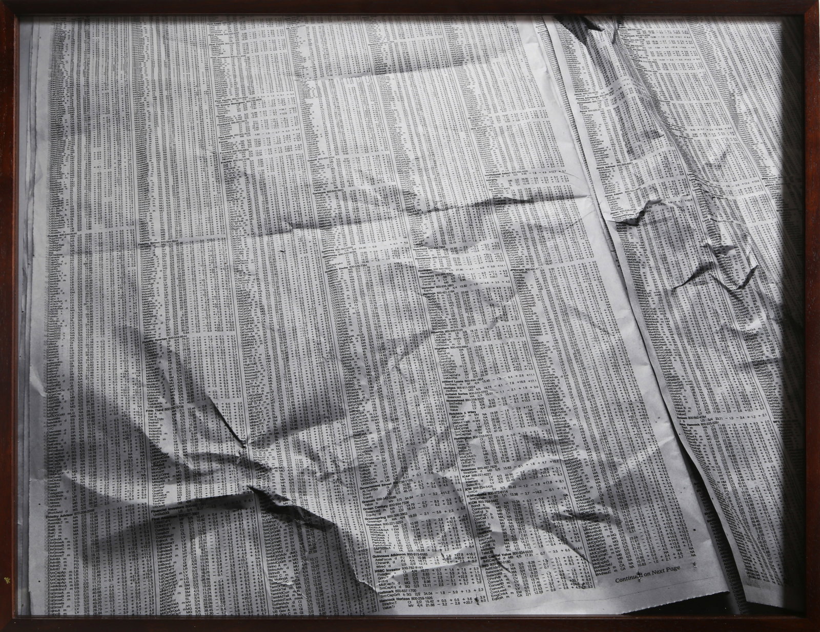 Tim Davis, Stock Pages (The New Antiquity), Chromogenic Print: Artist: Tim Davis, American (1969 - ) Title: Stock Pages (The New Antiquity) Year: 2009 Medium: Chromogenic Print, signed in pen on verso Edition: 1/6, 2 AP's Size: 17 x 22 in. (43.18 x 55.88 cm) Fram