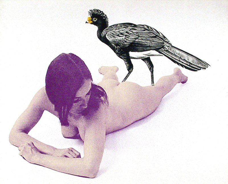 Mel Ramos, Currasow, Lithograph: Artist: Mel Ramos, American (1935 - ) Title: Currasow Year: 1969 Medium: Lithograph, Signed and Numbered in pencil on reverse Edition: 34/100 Size: 22 x 28 in. (55.88 x 71.12 cm)