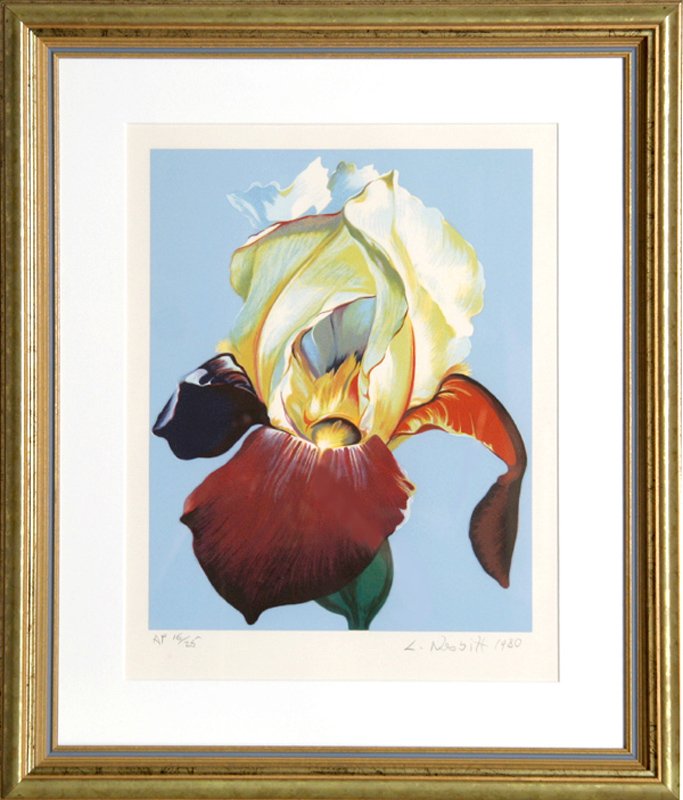 Lowell Blair Nesbitt, Red and Yellow Iris, Serigraph: Artist: Lowell Blair Nesbitt, American (1933 - 1993) Title: Red and Yellow Iris Year: 1980 Medium: Serigraph, Signed and Numbered in Pencil Edition: AP 16/25 Size: 17.5 in. x 14 in. (44.45 cm x 35.56 