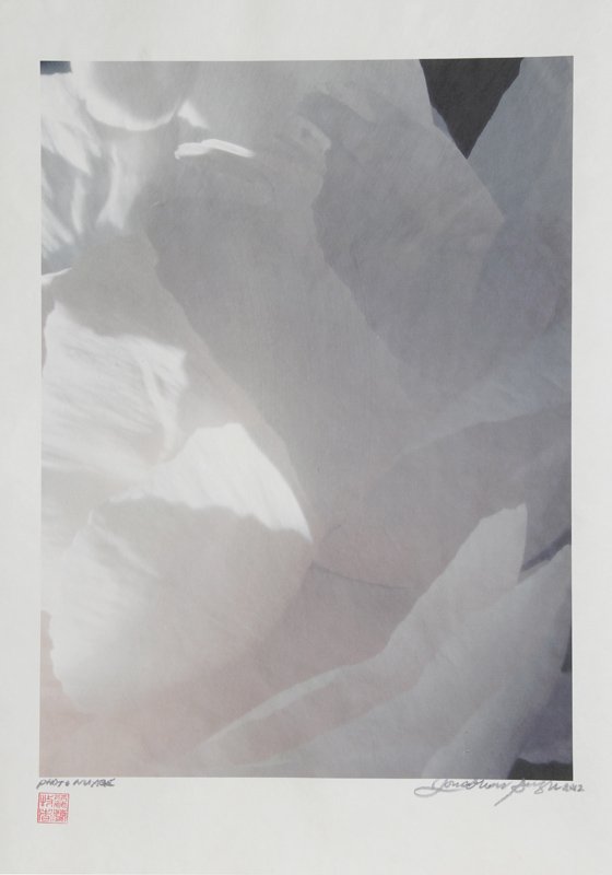 Jonathan Singer, Shades of White and Gray, Digital: Artist: Jonathan Singer, American Title: Shades of White and Gray Year: 2012 Medium: Digital Photo on Japon Paper, signed in pencil Image Size: 27 x 20 inches Size: 38 in. x 25.5 in. (96.52 cm x 64.77