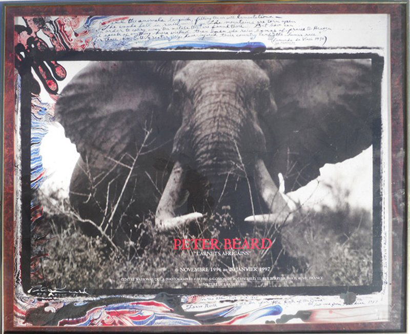 Peter Beard, Elephant from Carnets Africains: Artist: Peter Beard, American (1938 - ) Title: Elephant from Carnets Africains Exhibition Year: 1996 Medium: Poster Size: 26.25 x 31.25 in. (66.68 x 79.38 cm)