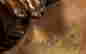 item-49421676=6
