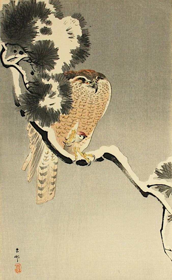 OHARA, Koson (1877-1945), Farbholzschnitt ''Habicht mit (1 of 3)