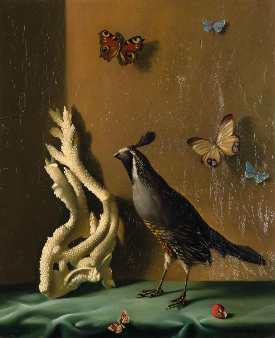 FERNAND RENARD (1 of 4)