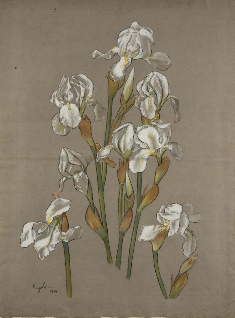 LOUAY KAYALI (1 of 1)