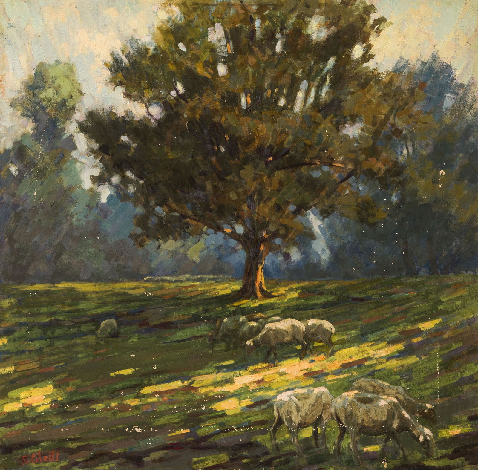 NICOLA CILETTI (1 of 1)