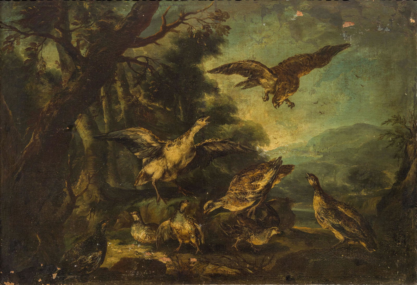 ANGELO MARIA CRIVELLI, detto IL CRIVELLONE: (attivo a Milano tra il 1690 e il 1730) Natura viva con volatili Olio su tea, cm 81X115 Il soggetto e il vivace carattere della pennellata suggeriscono l'attribuzione all'artista, prendendo altresÃ¬